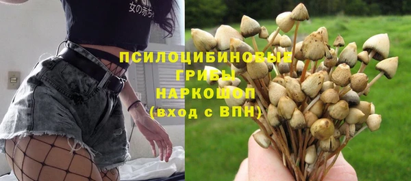 MDMA Premium VHQ Козельск