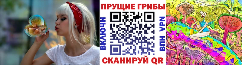 Галлюциногенные грибы прущие грибы  Купить где  Бугульма 